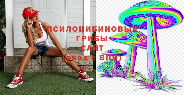 мдпв Алзамай