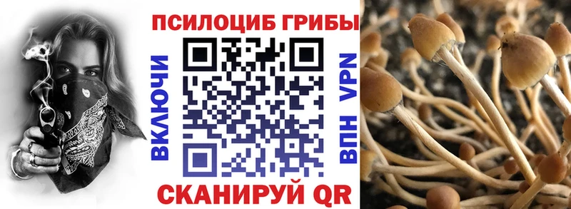 Псилоцибиновые грибы MAGIC MUSHROOMS  Новопавловск 